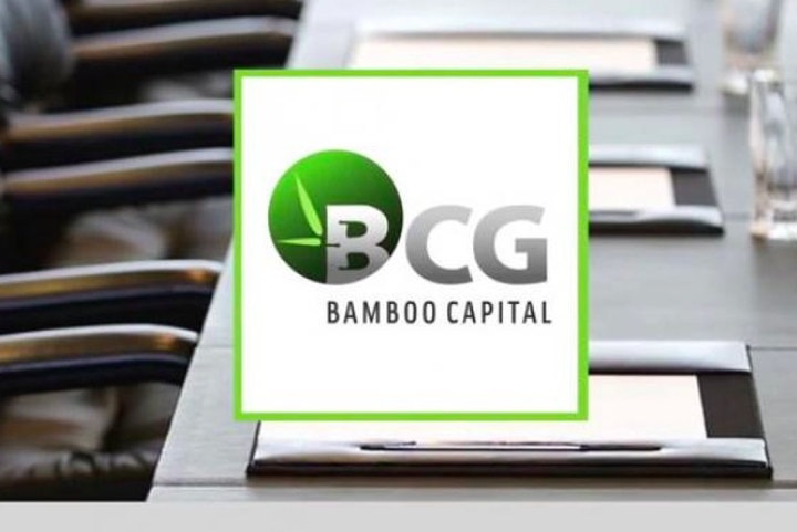 Bamboo Capital (BCG) báo lãi ròng 2022 hơn 546 tỷ trong điều kiện thị trường có nhiều biến động