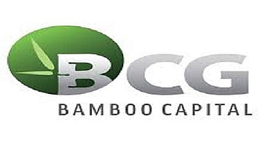 Kinh doanh hồi phục, Bamboo Capital (BCG) ghi nhận lợi nhuận sau thuế hơn 160 tỷ đồng, cổ phiếu lấy lại sắc tím