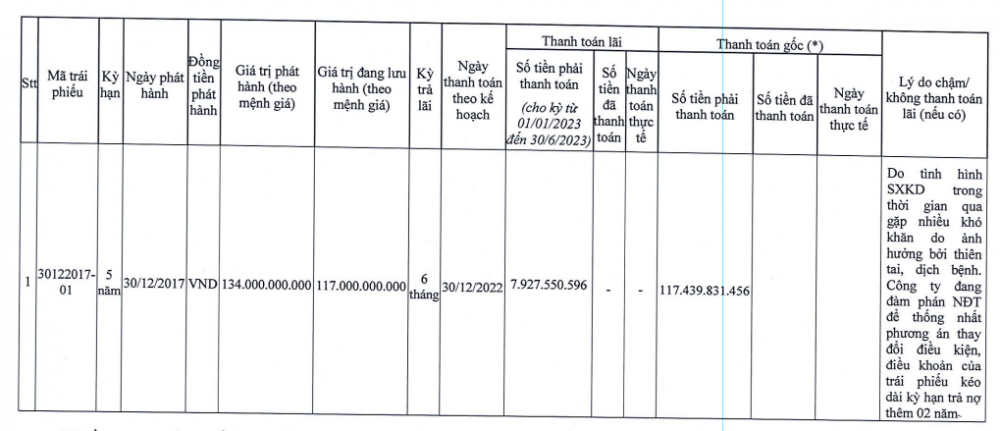 DLG: Cổ phiếu không thoát được diện cảnh báo, công ty liên tiếp chậm trả lãi trái phiếu