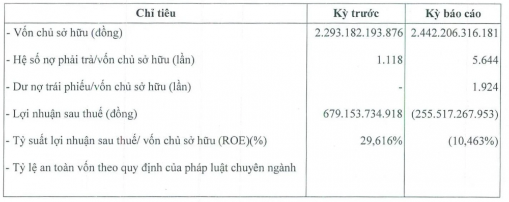 Đầu tư và Kinh doanh Nam An báo lỗ 255 tỷ đồng dù mới phát hành 4.700 tỷ trái phiếu