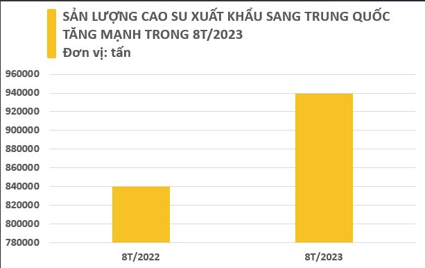 Xuất khẩu cao su 8 tháng đầu năm đạt hơn 1,2 triệu tấn, thu về hơn 1,6 tỷ USD