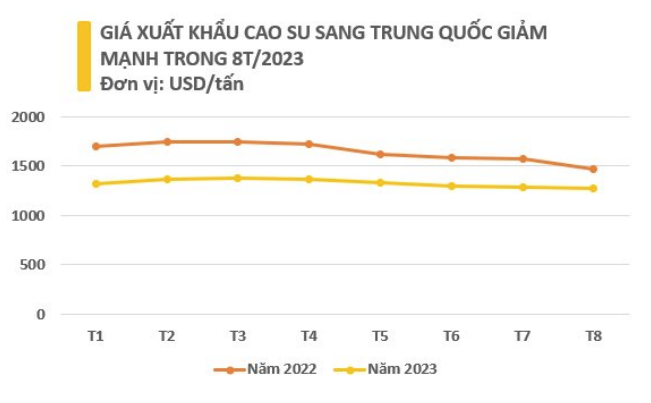 Xuất khẩu cao su 8 tháng đầu năm đạt hơn 1,2 triệu tấn, thu về hơn 1,6 tỷ USD