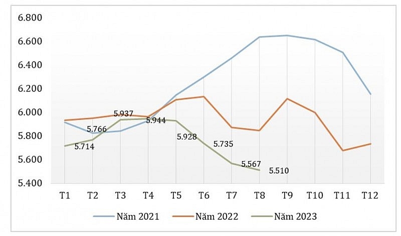 Xuất khẩu hạt điều tháng 8/2023 thiết lập mức kỷ lục mới