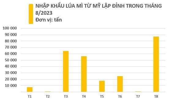 Nhập khẩu lúa mì từ Mỹ lập đỉnh trong tháng 8, tăng đột biến tới hơn 13.000%