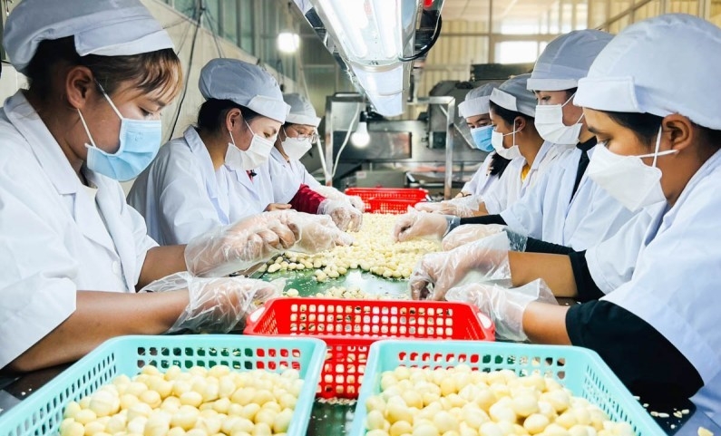 Việt Nam trên đà trở thành cứ điểm sản xuất mới của toàn cầu
