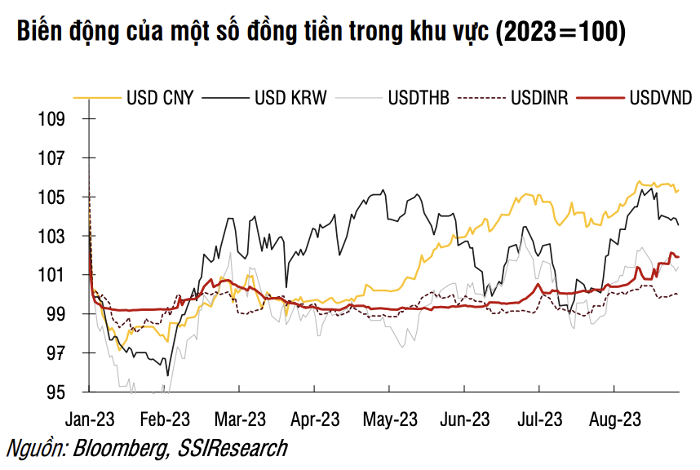 Tiền đồng sẽ tiếp tục mất giá trong phần còn lại của năm 2023?