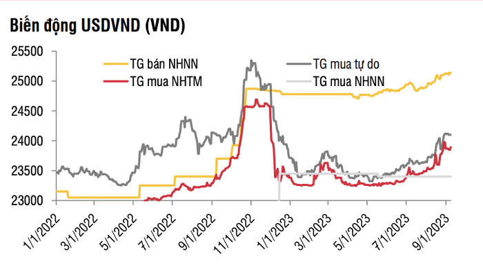 Tiền đồng sẽ tiếp tục mất giá trong phần còn lại của năm 2023?