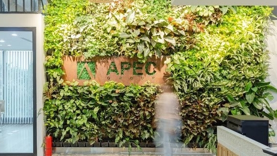 Chứng khoán APEC làm gì để cổ phiếu APS thoát nguy cơ hạn chế giao dịch?