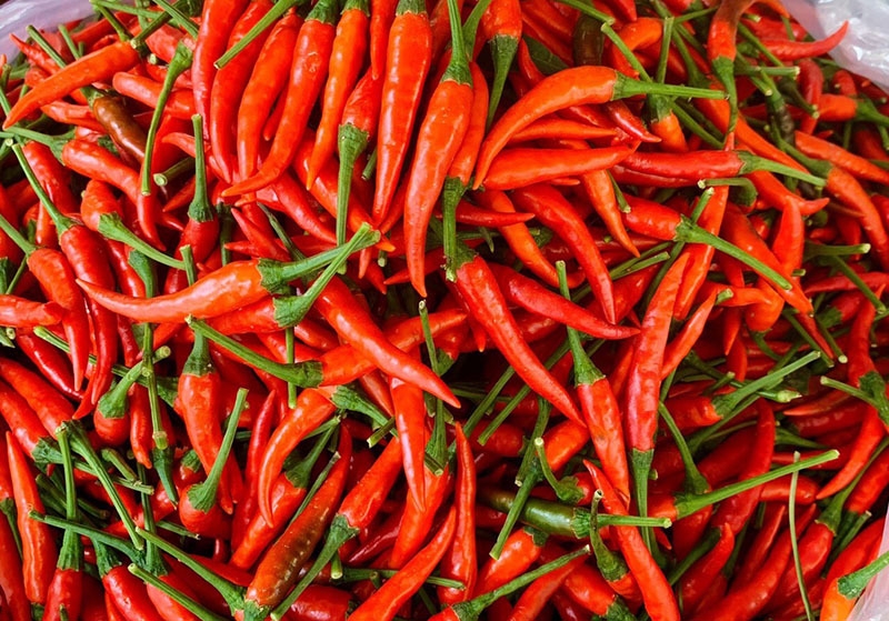 Tháng 8/2023, xuất khẩu ớt của Việt Nam đạt 545 tấn với kim ngạch đạt 0,9 triệu USD