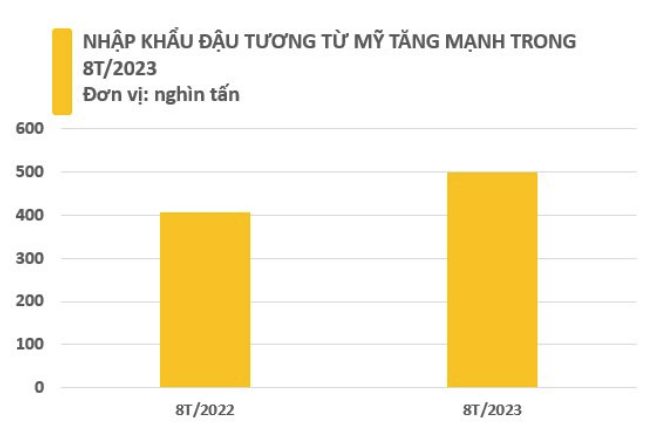 Nhập khẩu đậu tương của Việt Nam trong tháng 8 đạt hơn 166 nghìn tấn, kim ngạch hơn 96,6 triệu USD