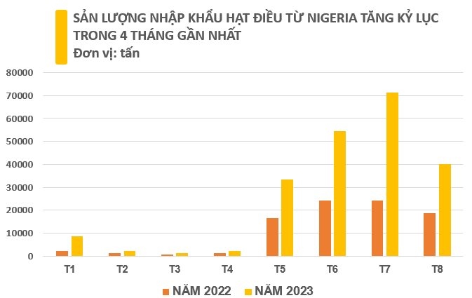 Nhập khẩu hạt điều của Việt Nam từ châu Phi tăng tháng thứ 4 liên tiếp