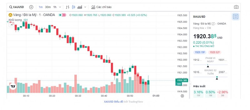 Biểu đồ biến động giá vàng trong 24 giờ qua