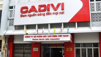 Cadivi (CAV): Lợi nhuận ròng tăng mạnh trong quý 3 nhờ kiểm soát chi phí tốt