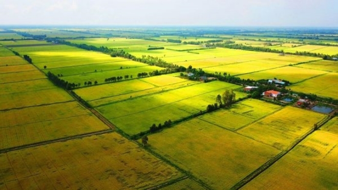 Ngân hàng đất nông nghiệp kỳ vọng mang đến nhiều lợi ích cho nông dân lẫn doanh nghiệp - Ảnh: VnEconomy