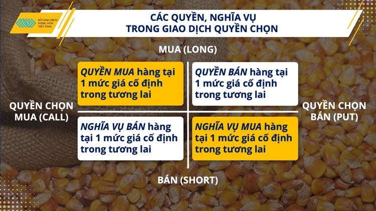 Hỏi đáp về Hợp đồng liên kỳ hạn và liên hàng hóa, hợp đồng kỳ hạn tiêu chuẩn và quyền chọn