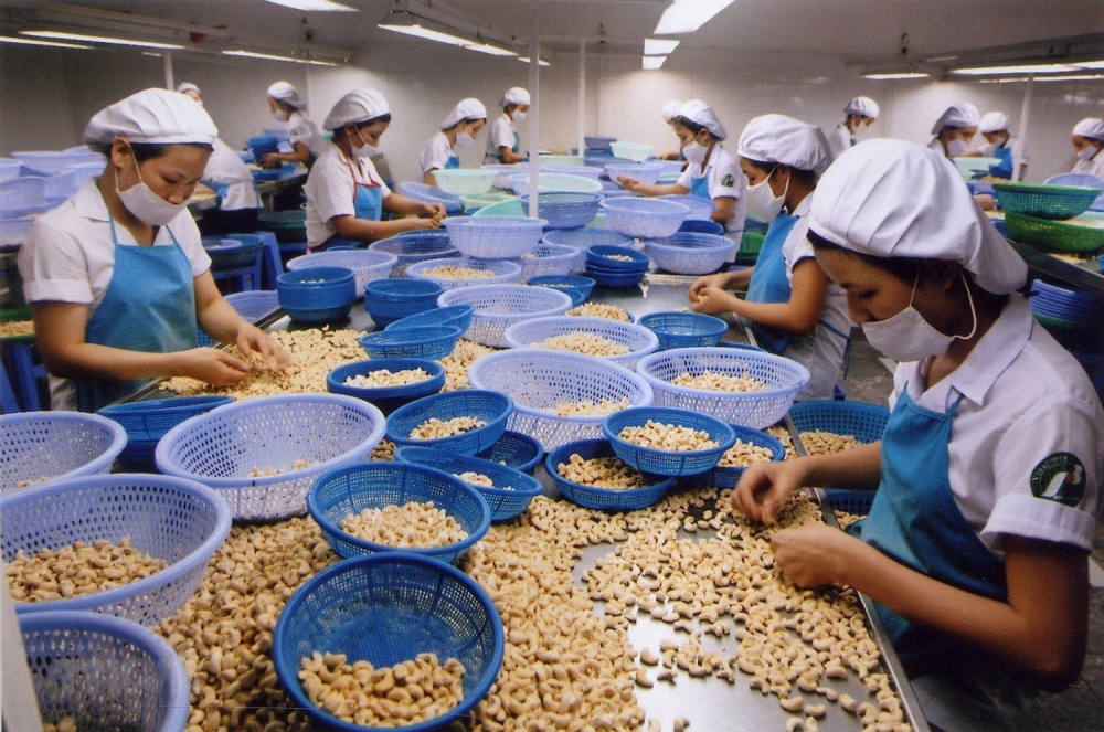 11 tháng năm 2023, Việt Nam thu về 3,31 tỷ USD từ xuất khẩu hạt điều