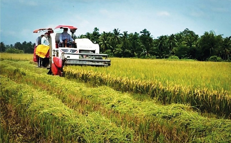 Nhu cầu nhập khẩu tăng cao là “cơ hội vàng” cho gạo Việt mở rộng thị phần