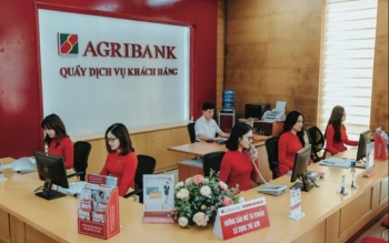 Agribank rao bán loạt doanh nghiệp xăng dầu để thu hồi nợ xấu