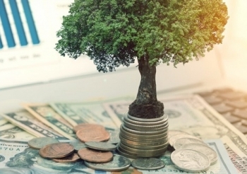Những ngân hàng trả cổ tức bằng tiền mặt “mát lòng” nhà đầu tư