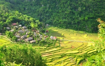 Hơn 3.000 người tại huyện miền núi thuộc tỉnh đông dân thứ 3 Việt Nam 'hưởng lợi' nhờ một dự án đặc biệt