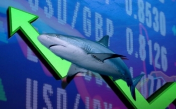 VN-Index "leo núi" cuối phiên, dòng tiền cá mập "giằng co" kịch liệt