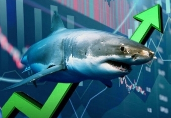 VN-Index hồi phục cuối phiên, dòng tiền cá mập đẩy mạnh thanh khoản