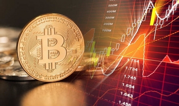 Giá Bitcoin hôm nay 9/9: Đồng loạt giảm