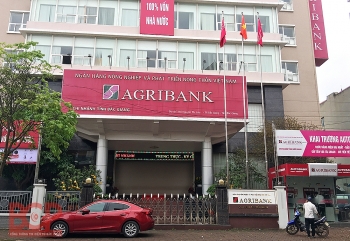 Bộ Tài chính thực hiện giám sát gián tiếp việc đầu tư bổ sung vốn điều lệ cho Agribank